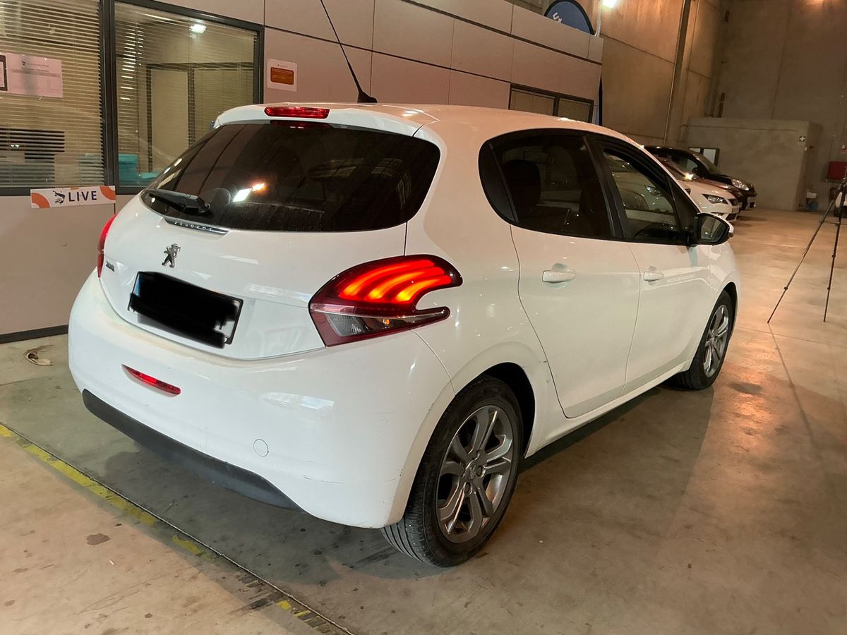 Parte trasera derecha