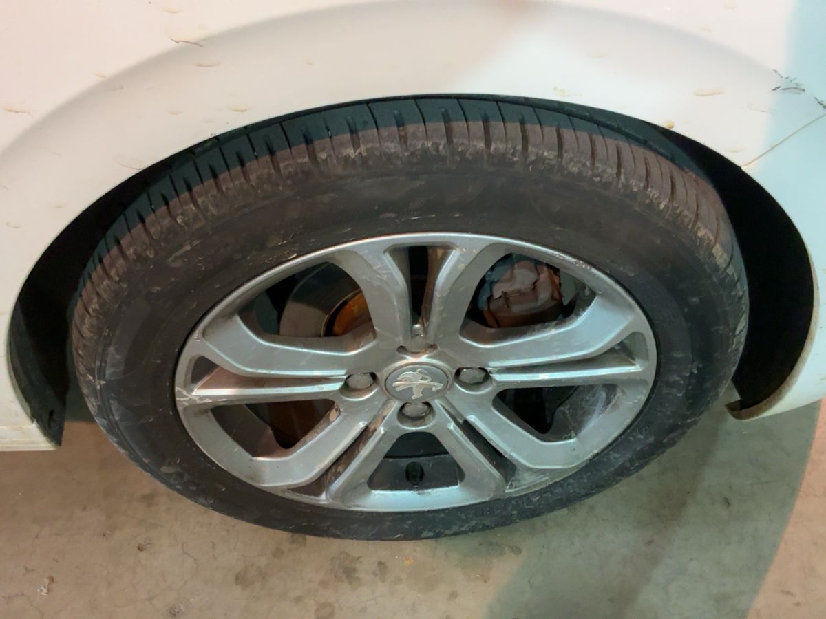 Neumático delantero derecho