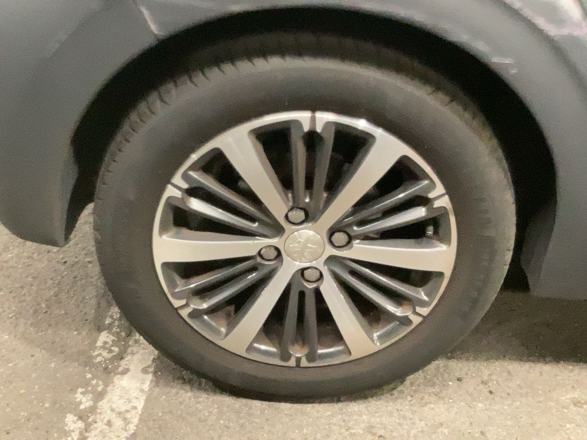 Neumático trasero derecho