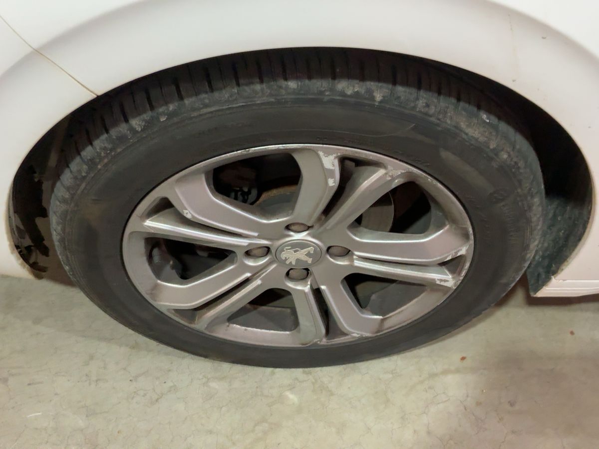 Neumático delantero izquierdo