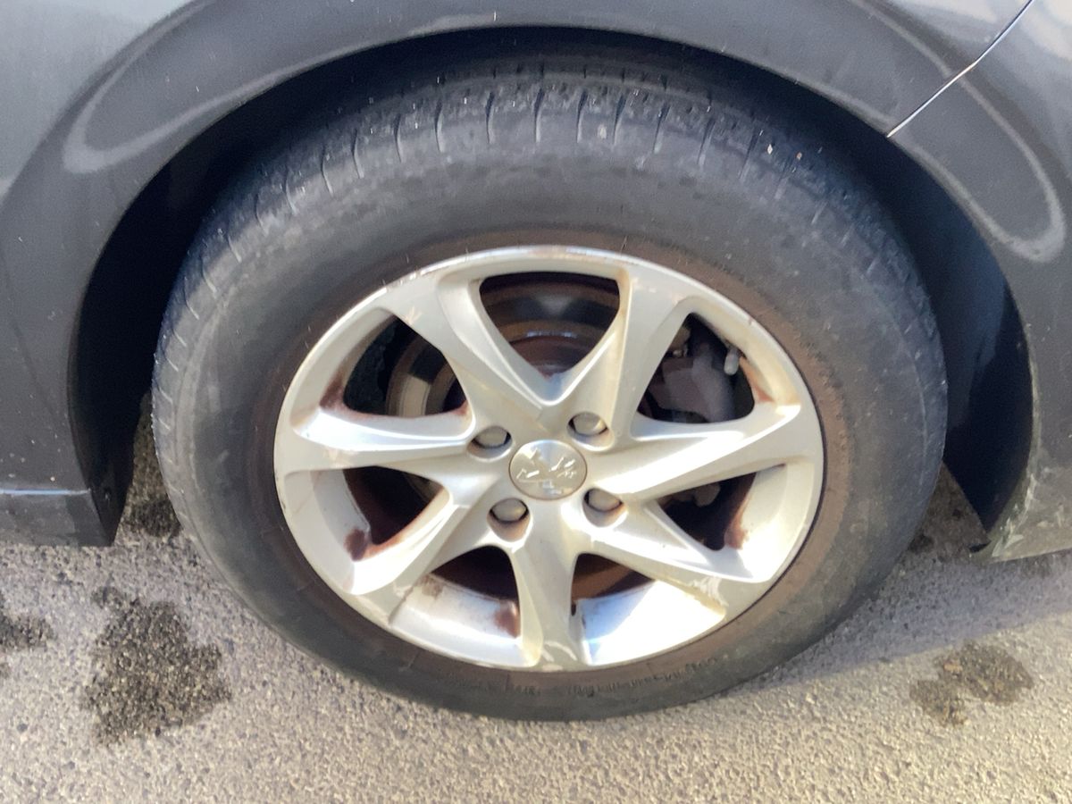 Neumático delantero derecho