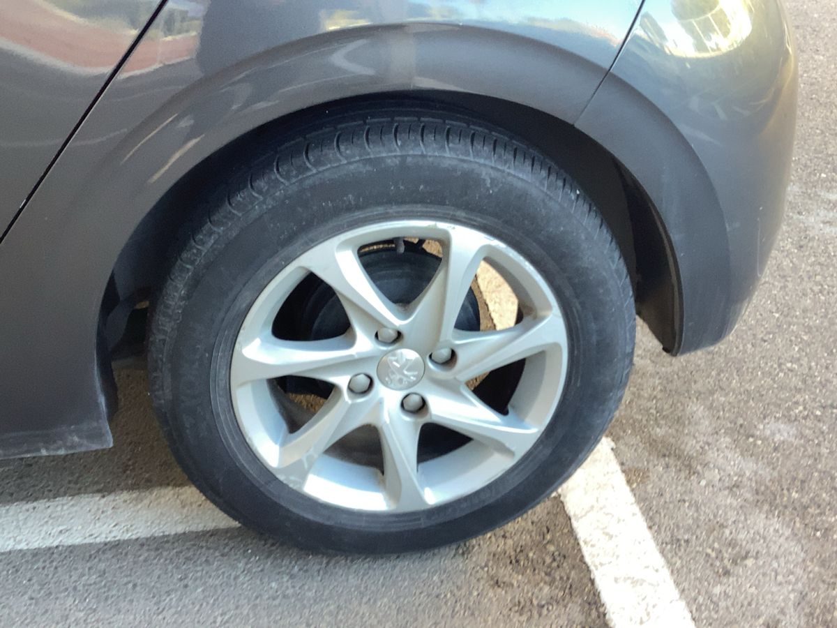 Neumático trasero izquierdo