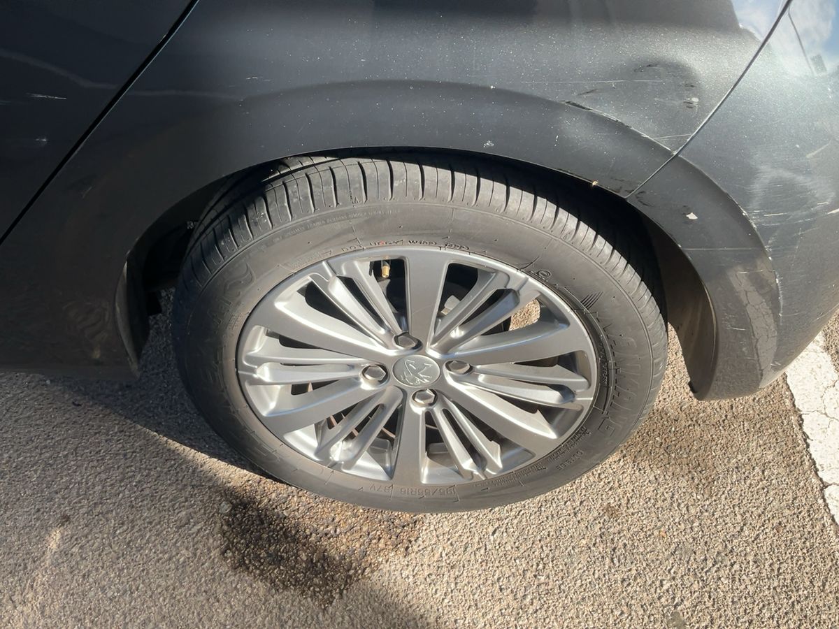 Neumático trasero izquierdo