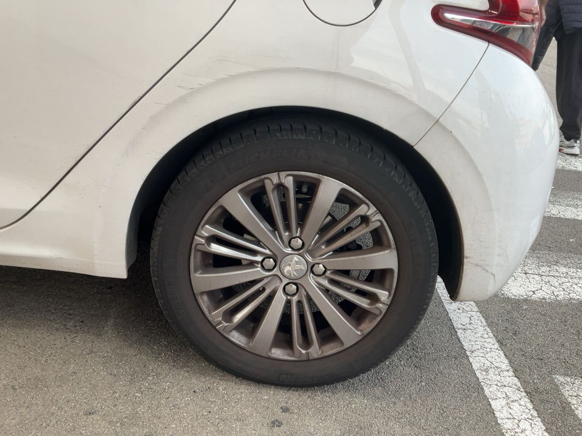 Neumático trasero izquierdo