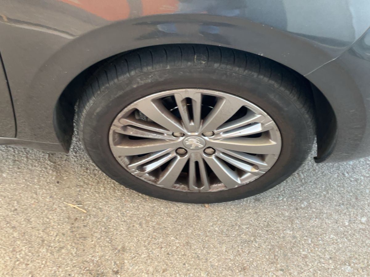 Neumático delantero derecho