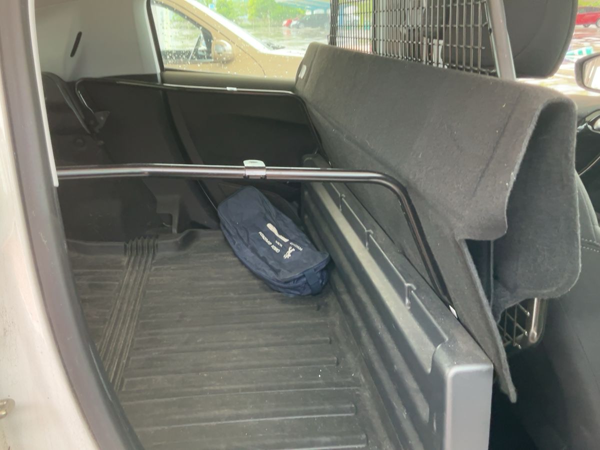 Interior trasero