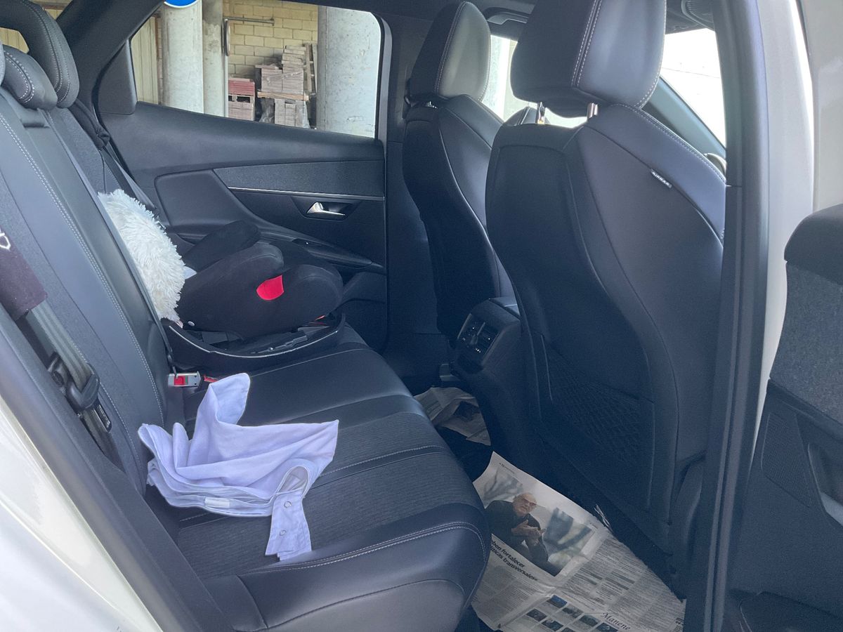Interior trasero