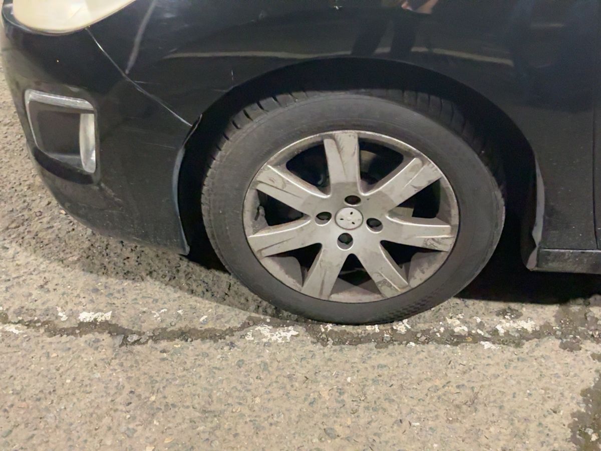 Neumático delantero izquierdo