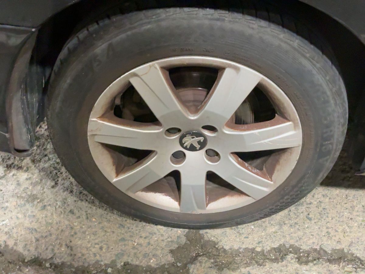 Neumático trasero derecho