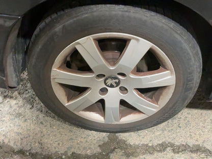 Neumático trasero derecho