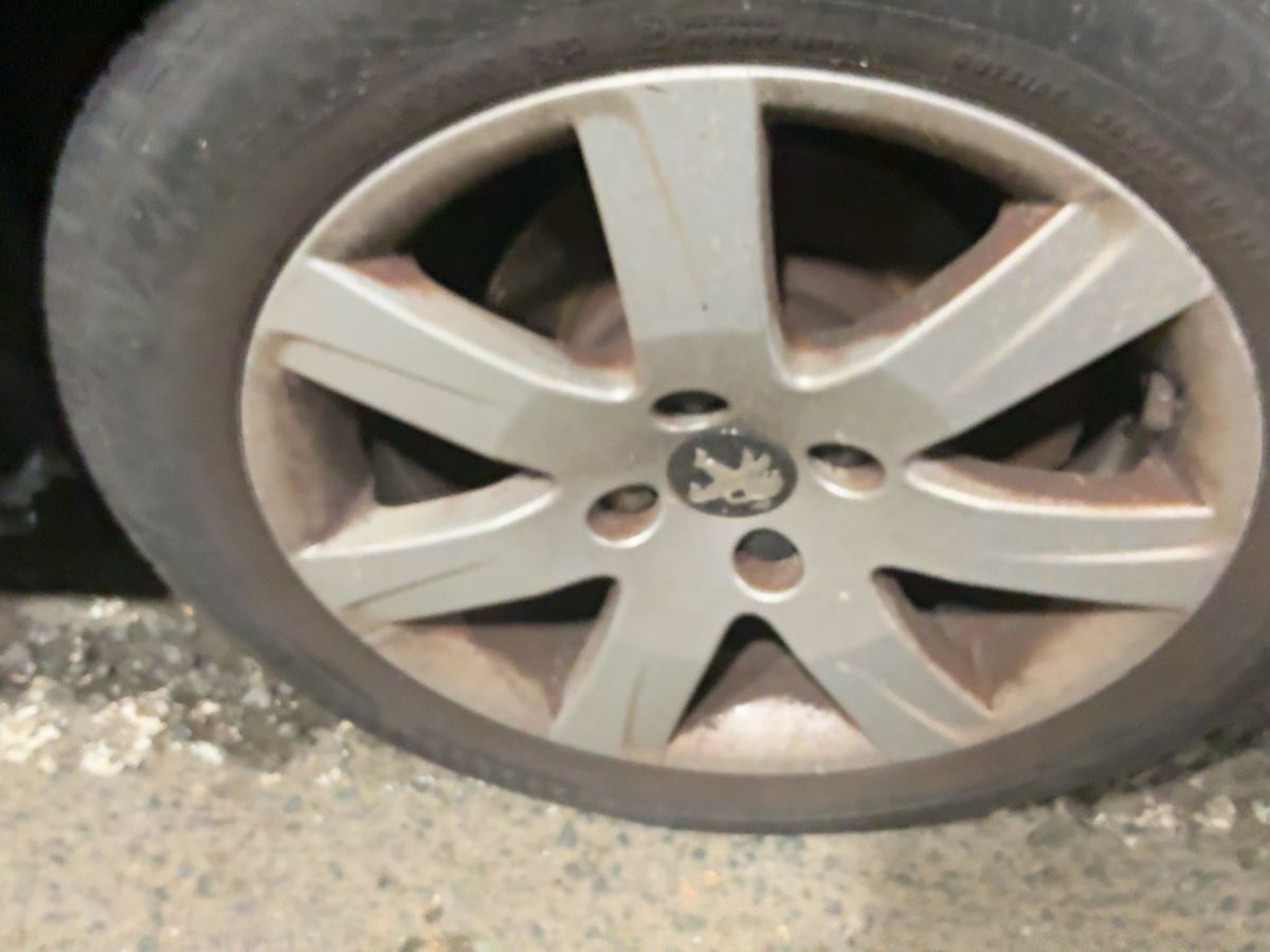 Neumático trasero izquierdo