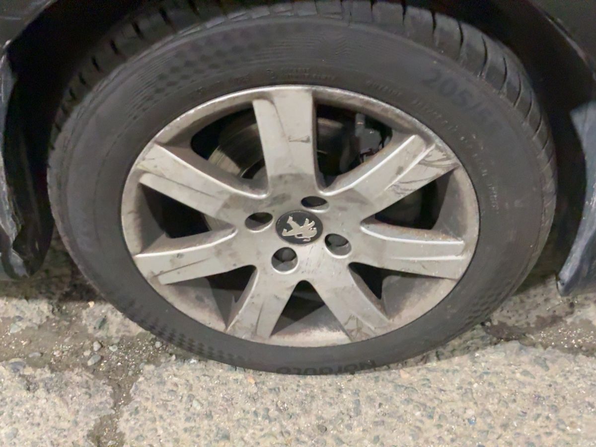 Neumático delantero derecho