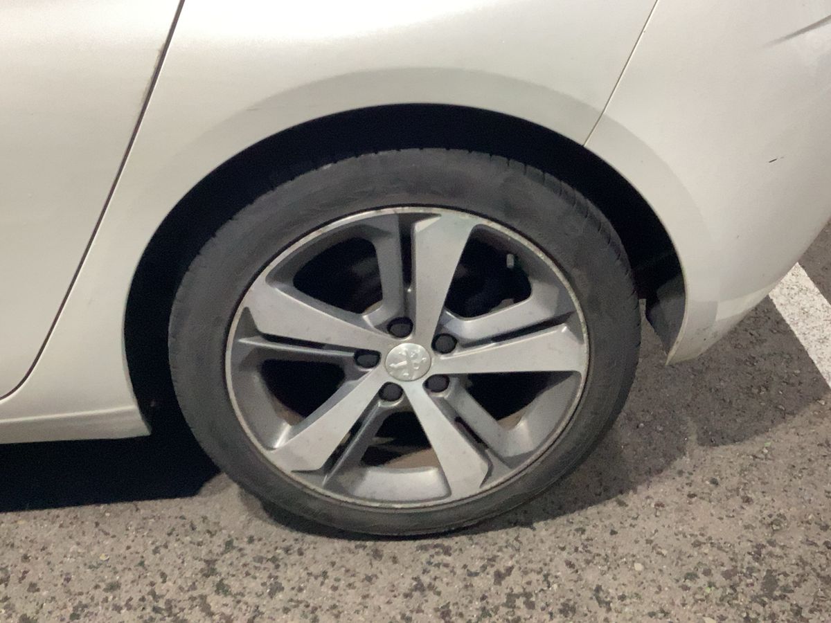 Neumático trasero izquierdo