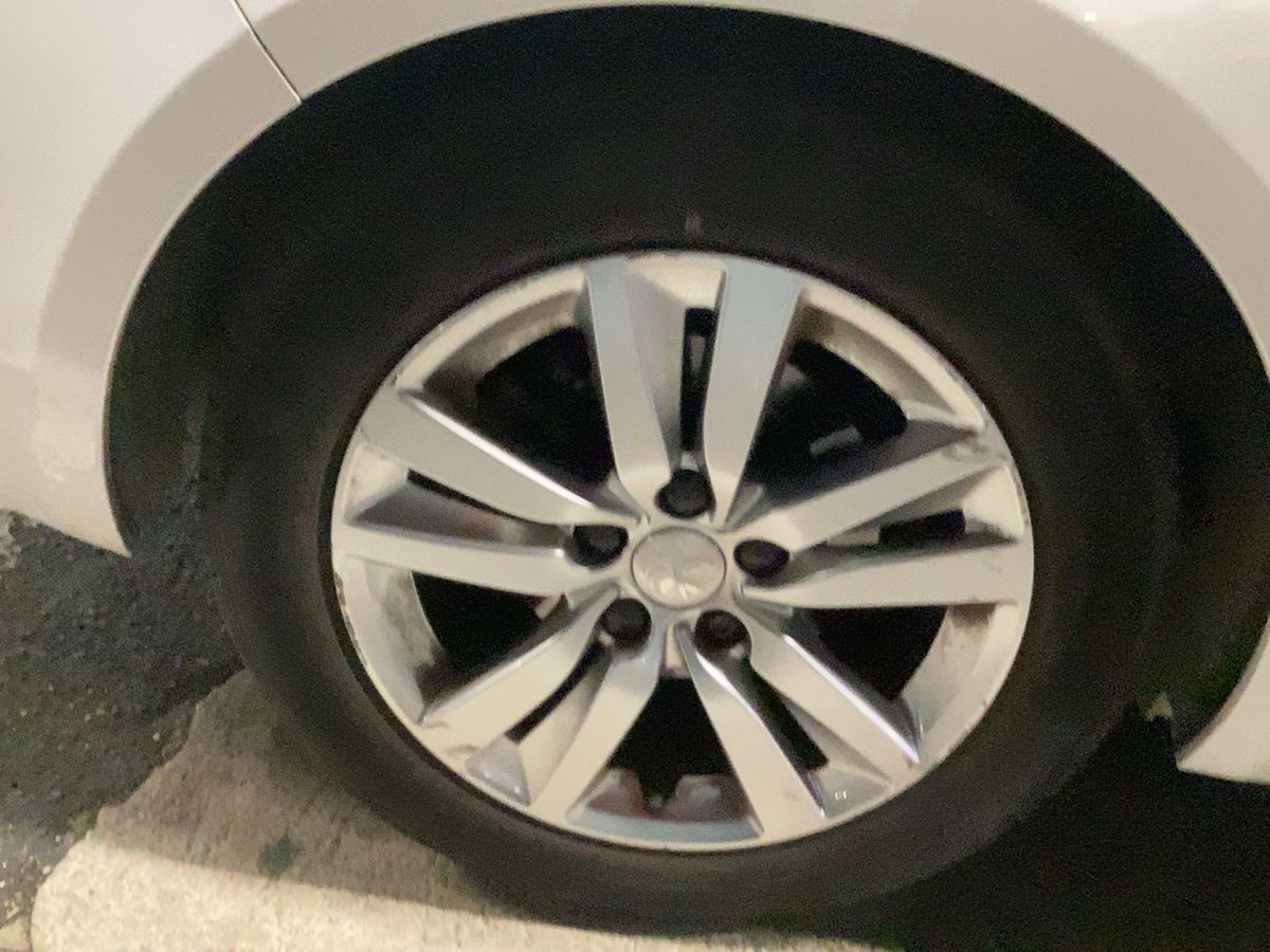 Neumático trasero derecho