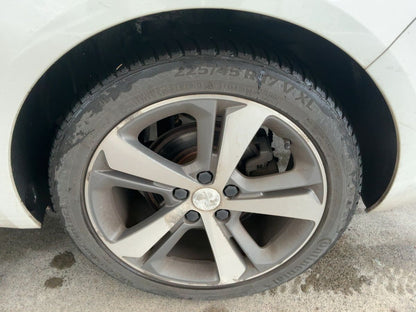 Neumático trasero izquierdo