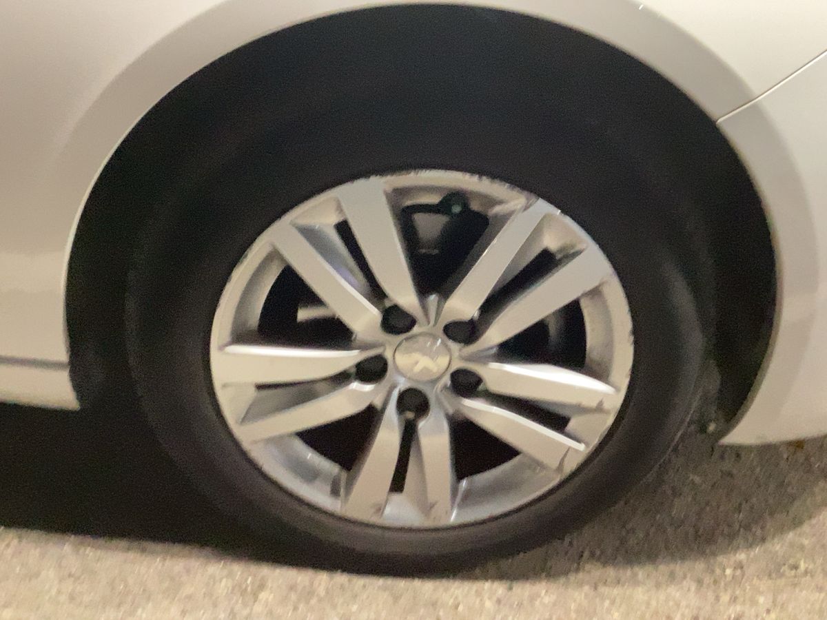 Neumático delantero derecho