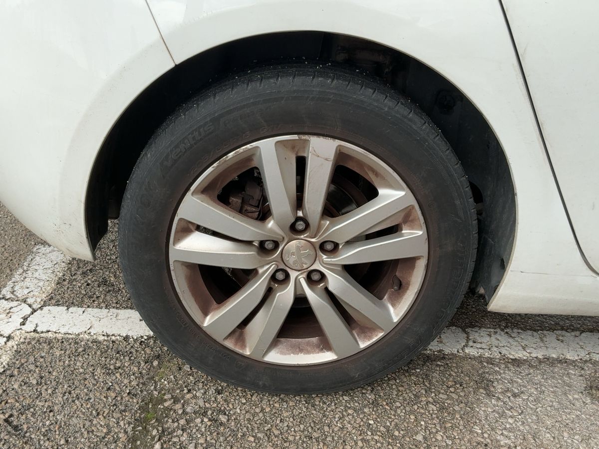 Neumático trasero derecho