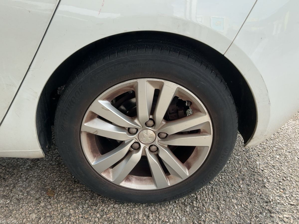 Neumático trasero izquierdo