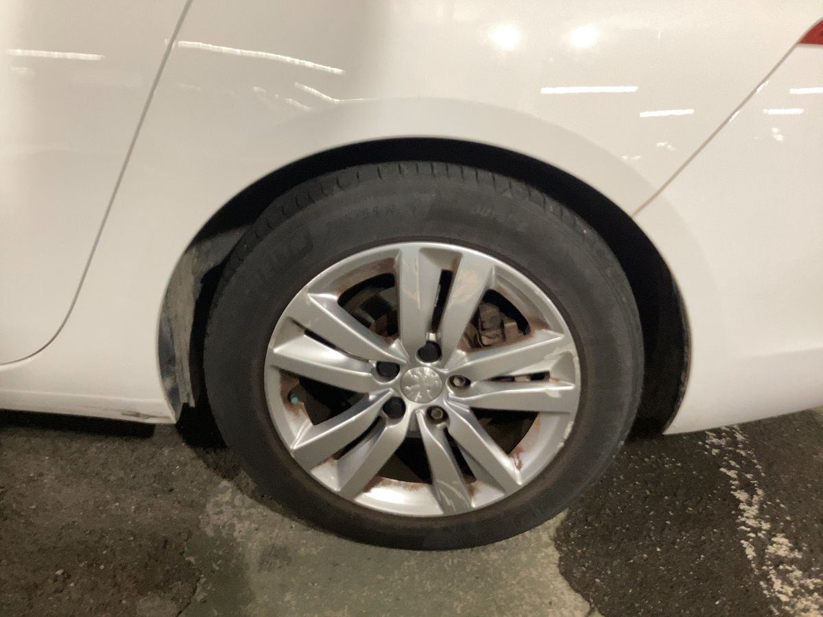 Neumático trasero izquierdo