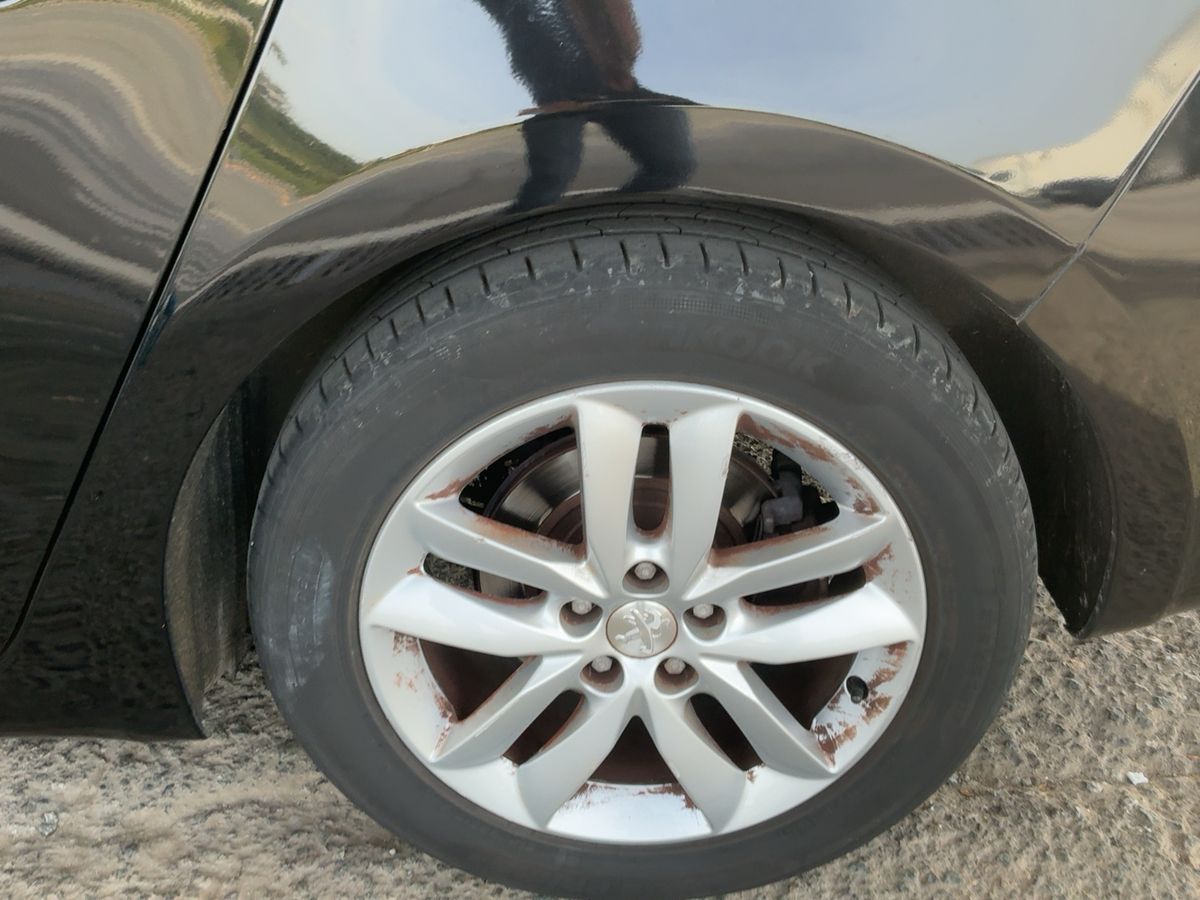 Neumático trasero izquierdo