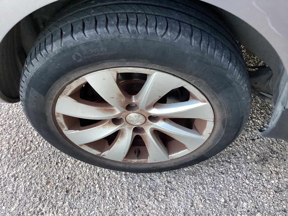 Neumático trasero derecho