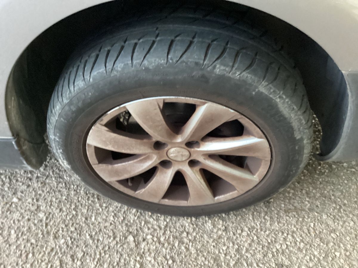 Neumático delantero derecho