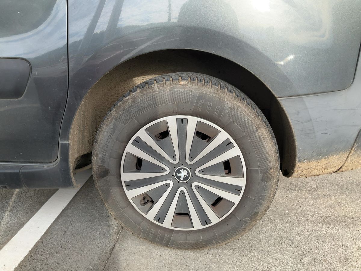 Neumático trasero izquierdo