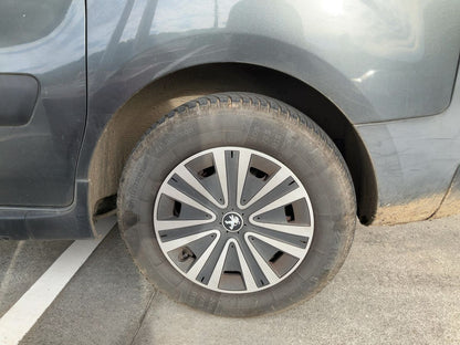 Neumático trasero izquierdo