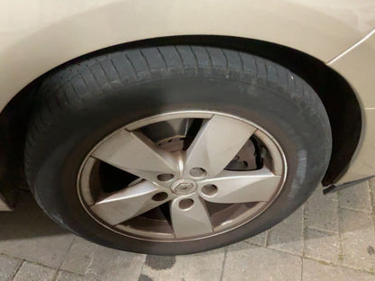 Neumático delantero derecho