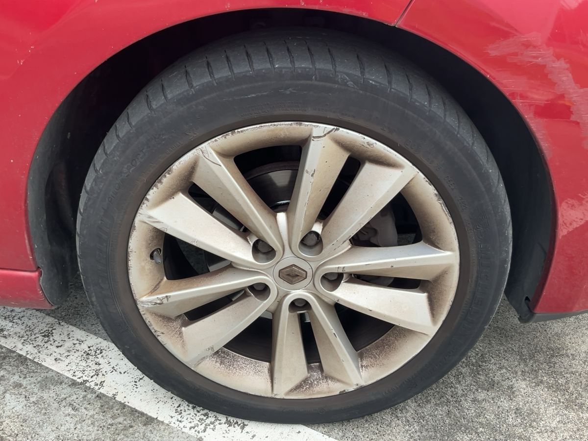 Neumático delantero derecho