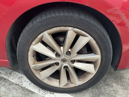 Neumático delantero derecho