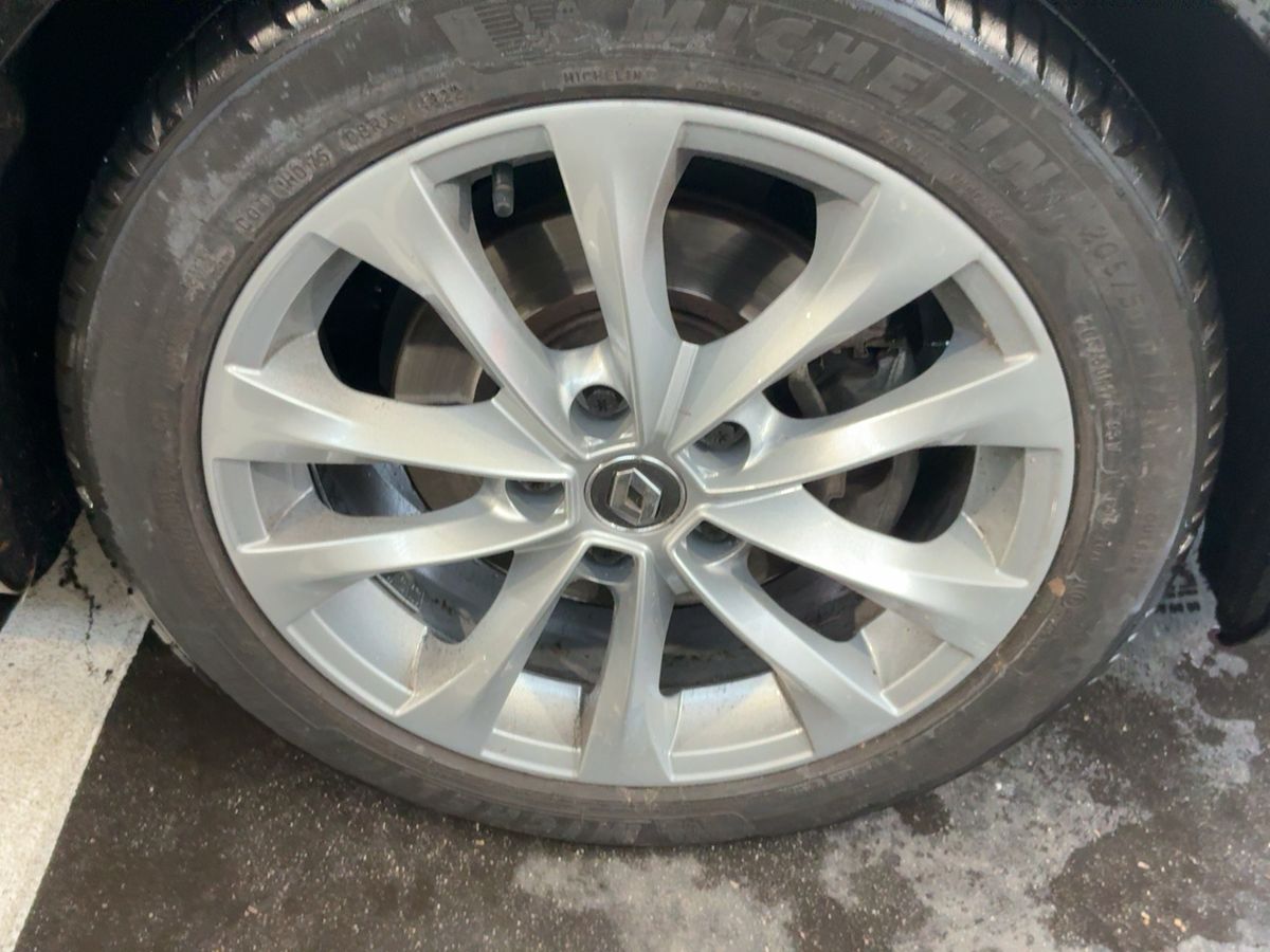 Neumático delantero derecho