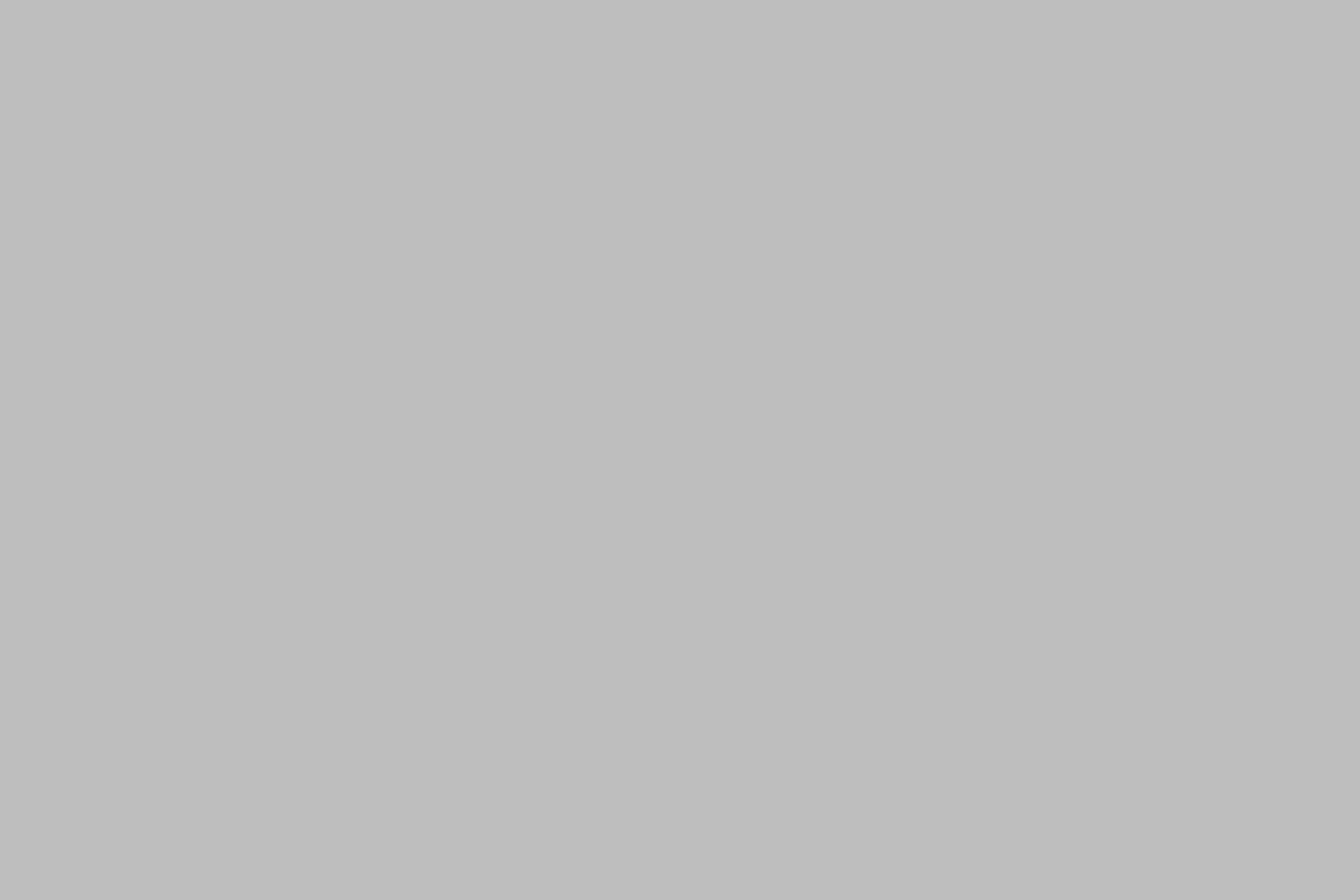 Renault Zoe Life ZE40 Miet-Bat. Nav Temp Klima  104905362 0