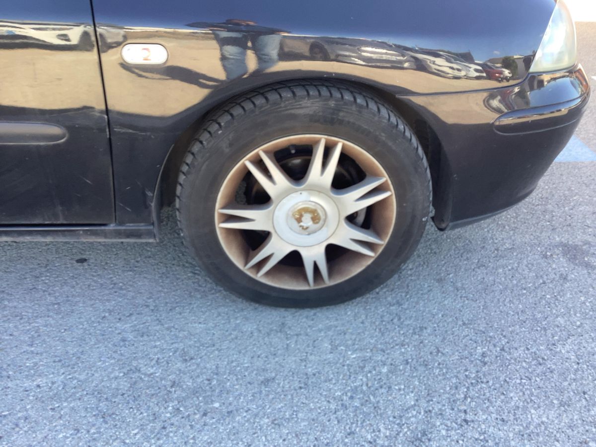 Neumático delantero derecho