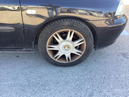 Neumático delantero derecho