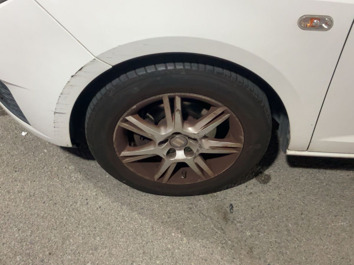 Neumático delantero izquierdo