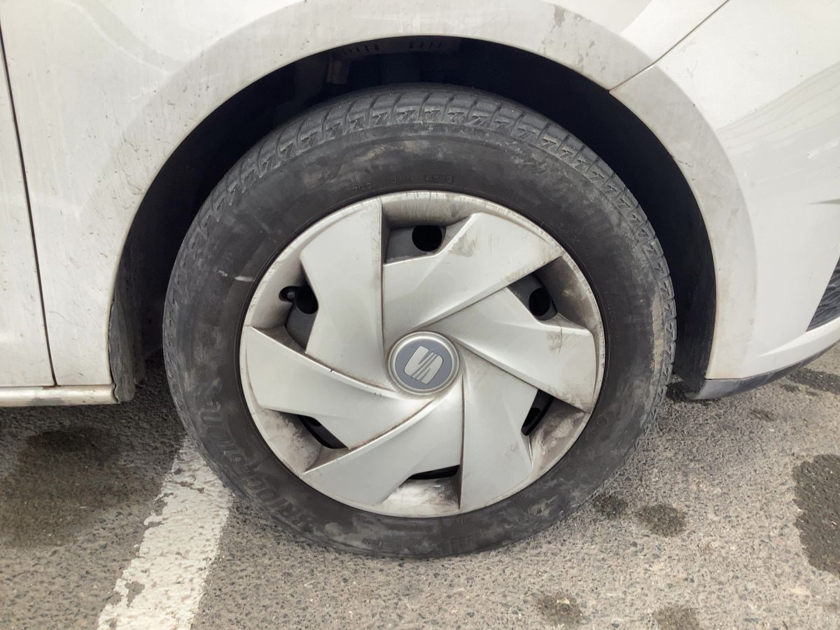 Neumático delantero derecho