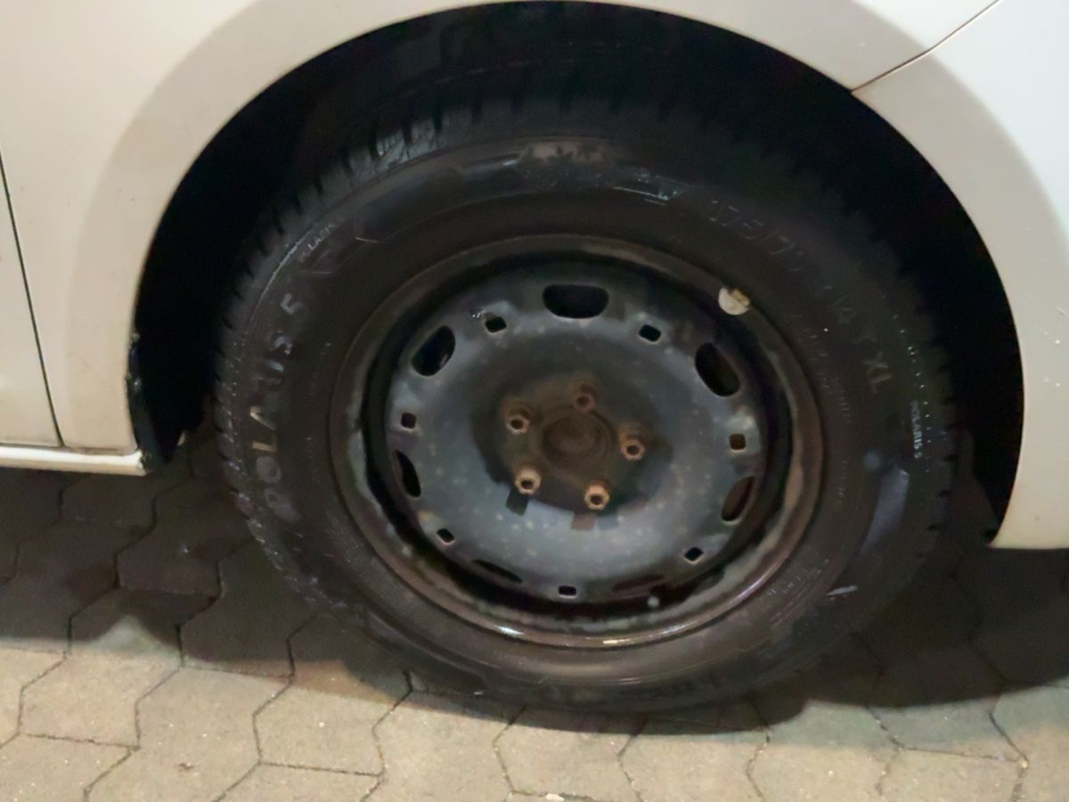 Neumático delantero derecho