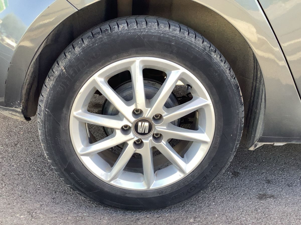 Neumático trasero derecho