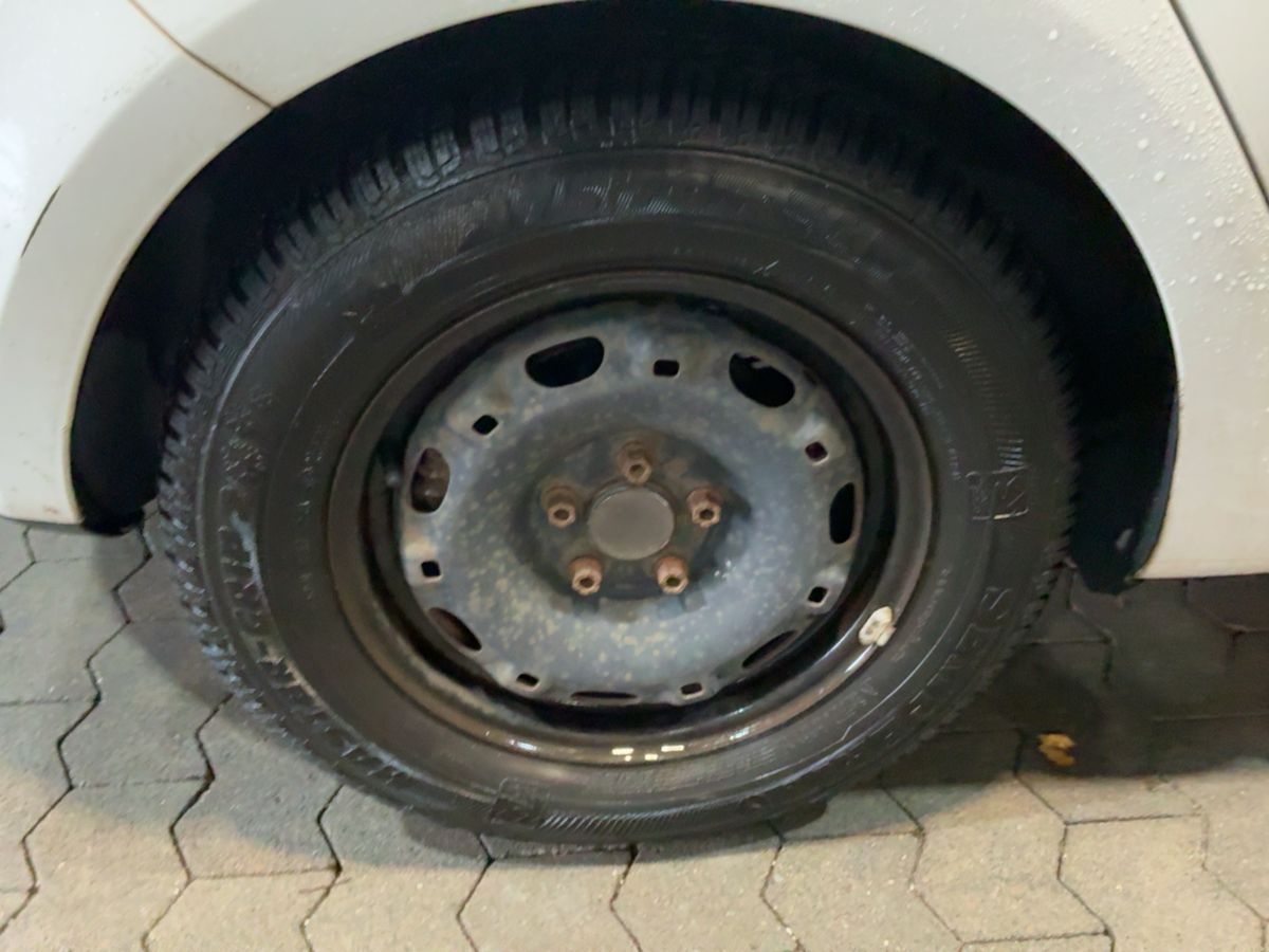 Neumático trasero derecho