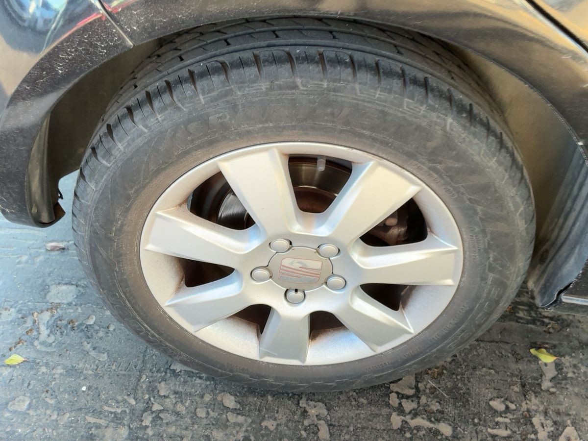 Neumático trasero derecho