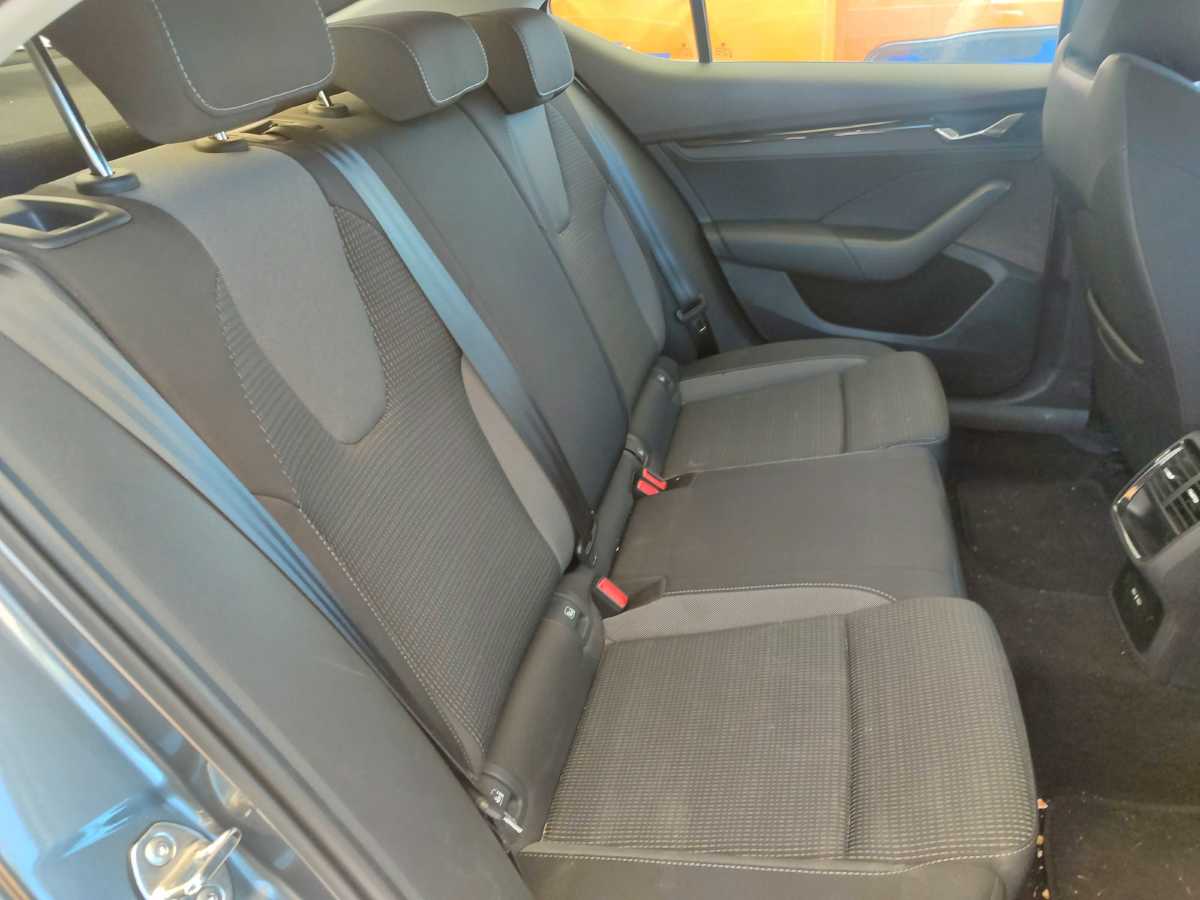 Interior trasero