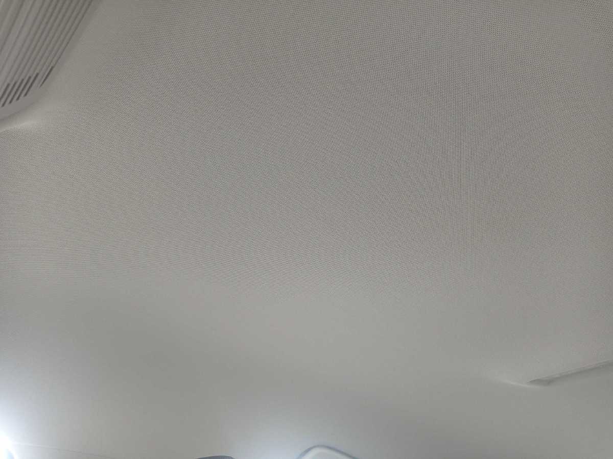Guarnecido del techo Interior