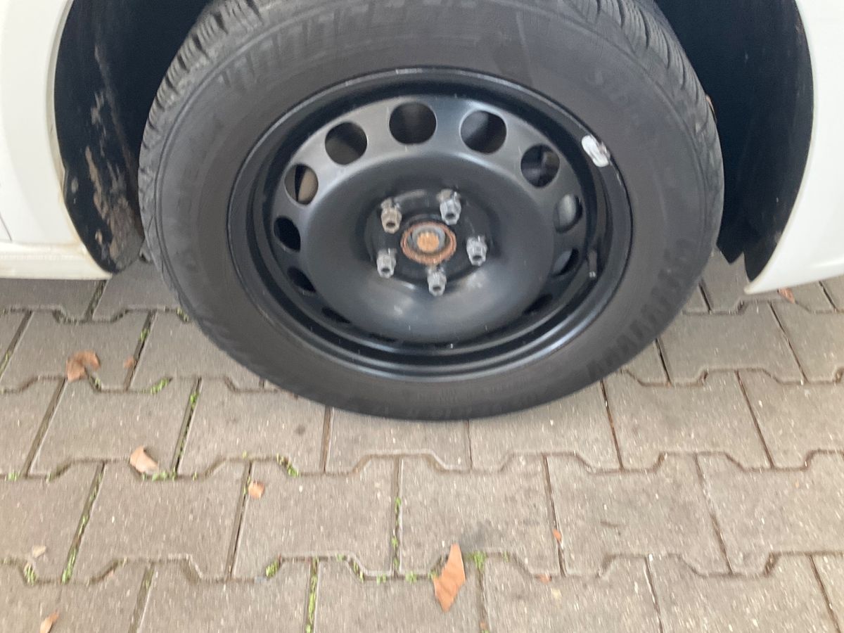 Neumático delantero derecho