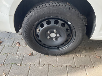 Neumático trasero derecho