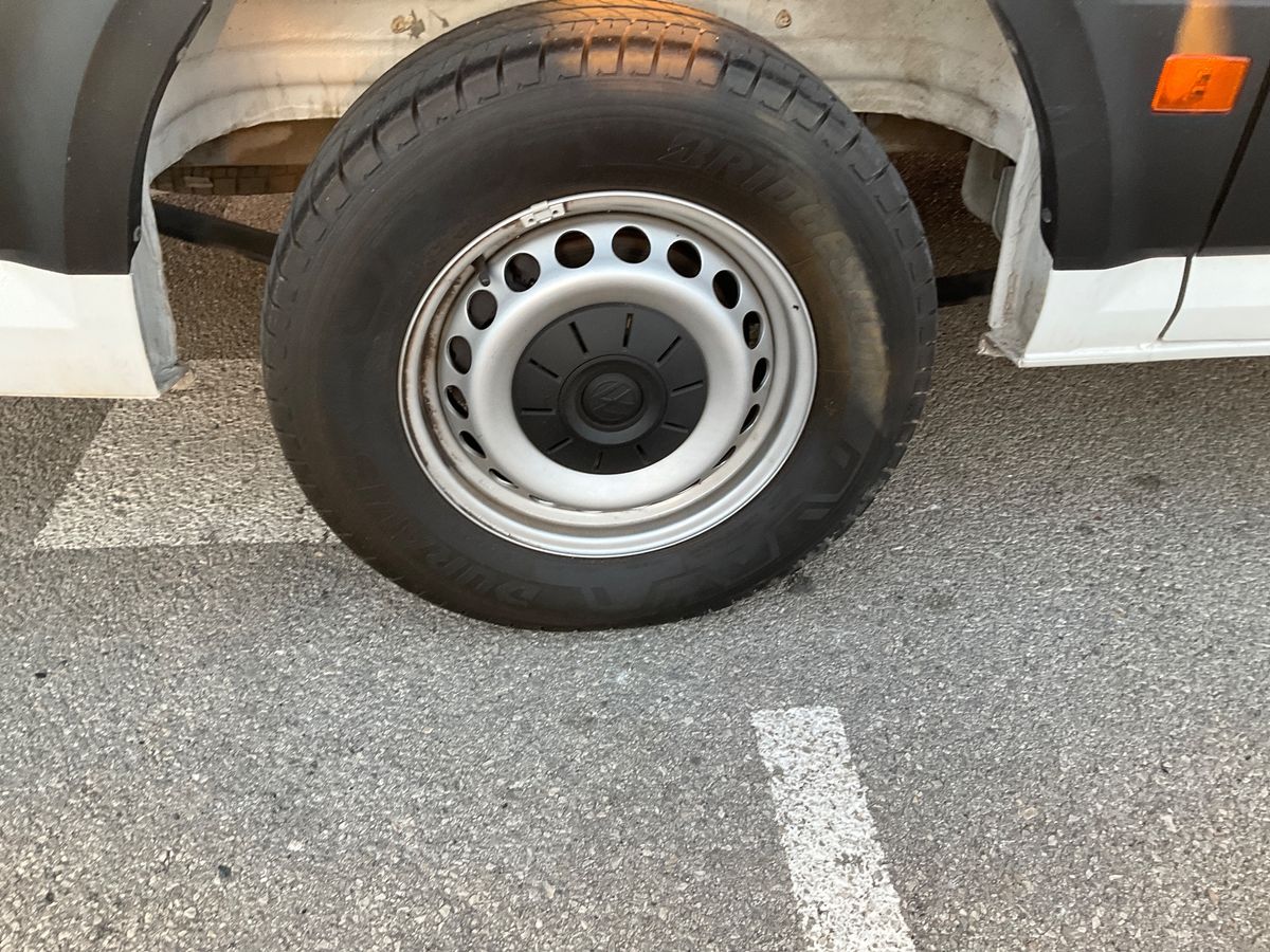 Neumático trasero derecho