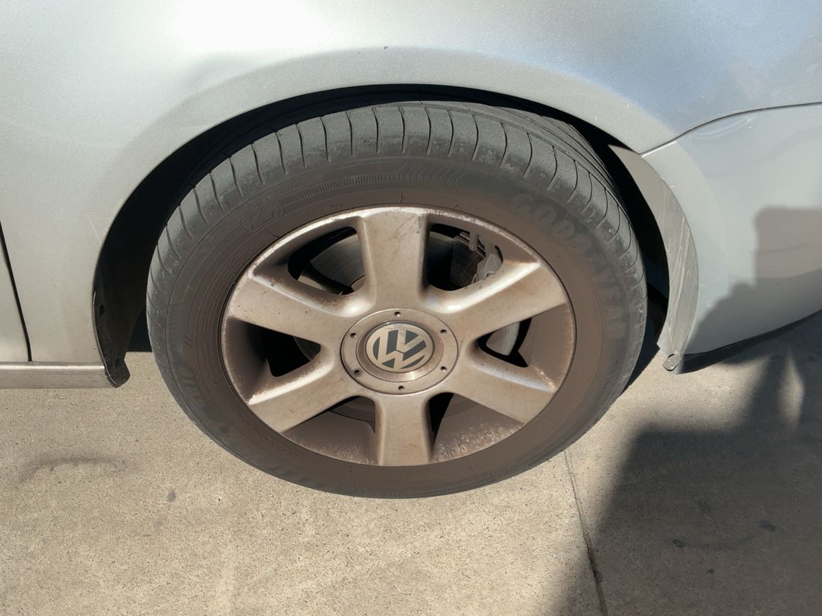 Neumático delantero derecho