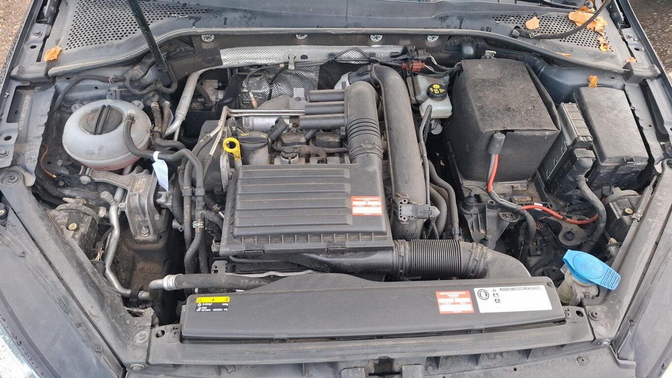 Volkswagen Golf VII 1.2 TSI Allstar Climatr PDC LM GRA ALS 140883834 10