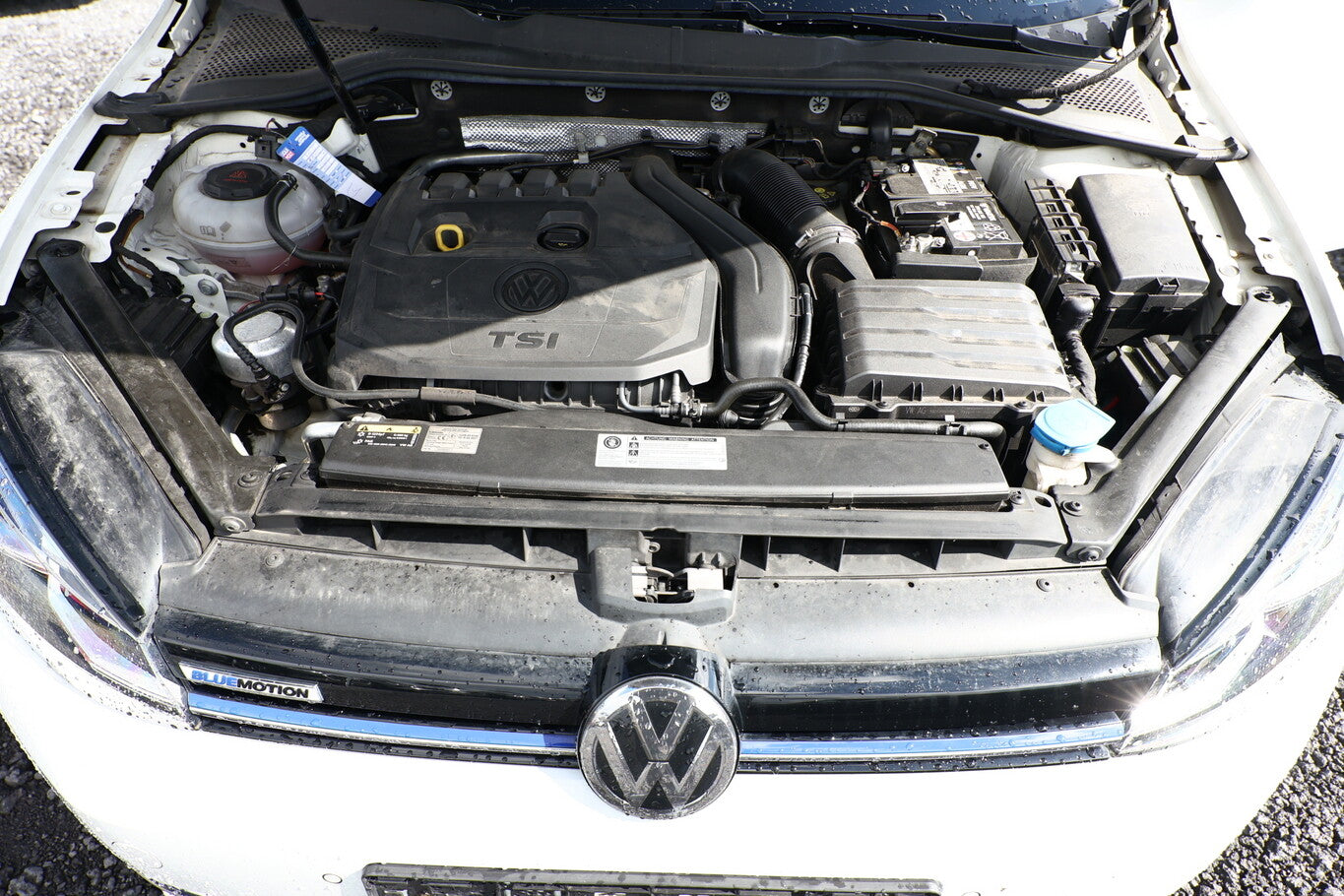 Volkswagen Golf VII 1.5 TSI 150 DSG IQ.DRIVE StandH LED Kam 165980416 11