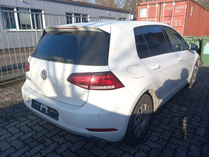 Volkswagen Golf VII e-Golf LED Nav PDC ACC SHZ AppCo LM16Z 163915938 2